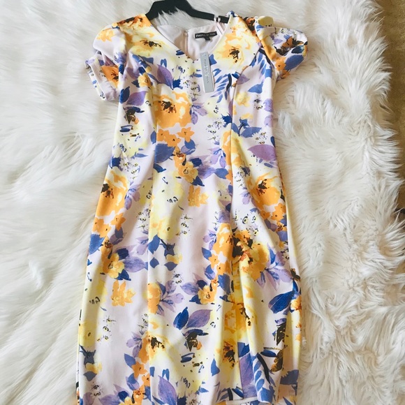 Preston & York dress - Picture 5 of 6